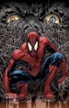 Spider Man Brand New Day Poster